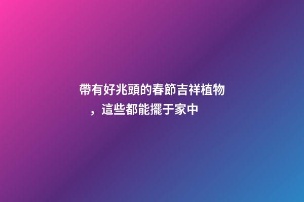 帶有好兆頭的春節吉祥植物，這些都能擺于家中